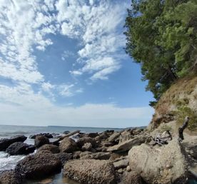 Индивидуальная экскурсия Гагра - Мюссера