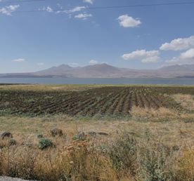 Грузия Восьмерка с бантиком