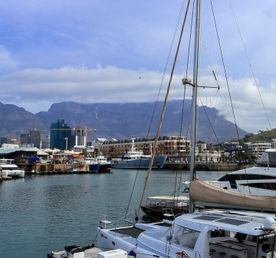 Большой тур в Кению и Юар: миграция китов + сафари