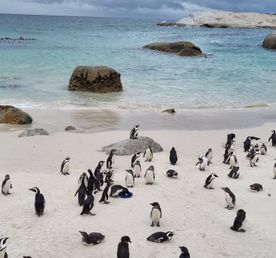 Юар. Необычная Африка.