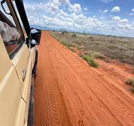 Кения Сафари+Океан