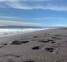 Халактырский пляж. Гастрономическая экскурсия в корякской родовой общине Эйвет