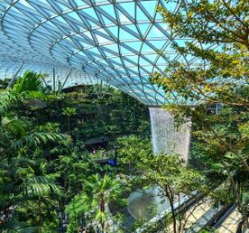 Сингапур, Куала-Лумпур и Восточный Борнео за 11 дней (индивидуально)