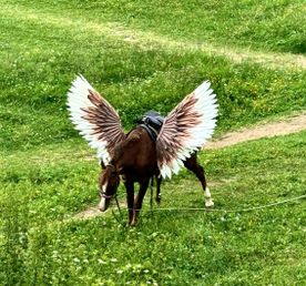 Красивый Дагестан