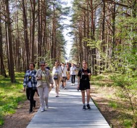 Балтийский экспресс на 8 дней - цикличный тур с заездом в любой день