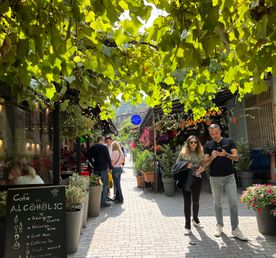 Райский уголок ждет вас  3 топовые экскурсии