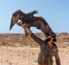 Первозданный Кыргызстан. Топ-10 мест. Все включено.