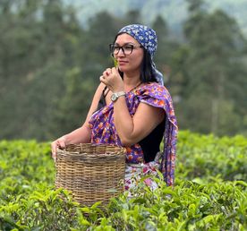 Все Самое Интересное На Шри-Ланке За 5 Дней