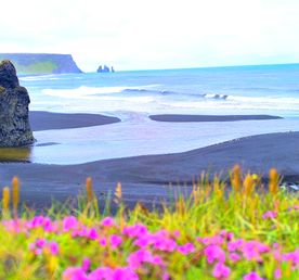 Исландия - вояж в страну огня и льда + киты