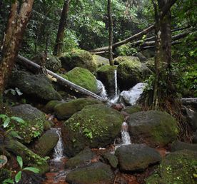 Душа Индии - путешествие по Северо-Востоку