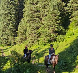 Конный тур по горным тропам Тянь-Шаня