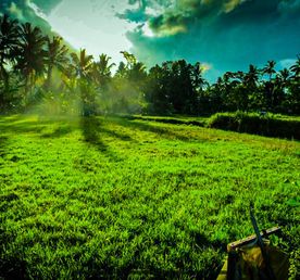 Магия Батукару: Треккинг, Храм и Горячие Источники