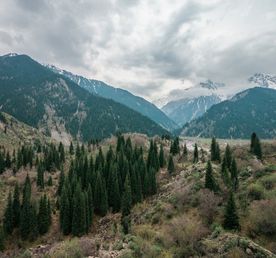 Казахстан. Авторский тур с треккингом в самых красивых местах
