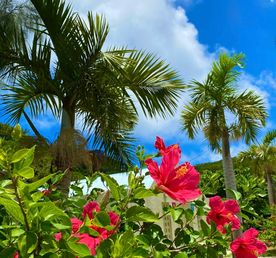 Окинава лучшее - Японские Гавайи! Тур на 2 острова в Тихом океане