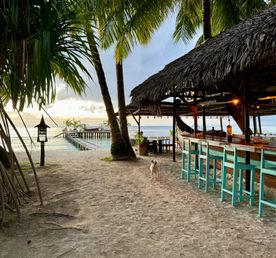 Сент-Мари: райский остров китов и пиратов