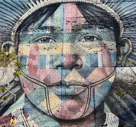 Индивидуальный, 1-2 человека  на автомобиле: три дня свободы под бразильским солнцем