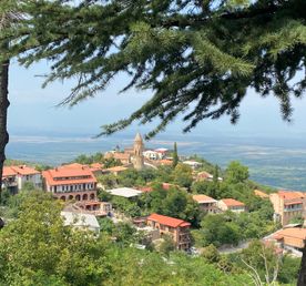 Комфорт тур в Грузию. Насыщенный маршрут, маленькая группа, хорошие отели