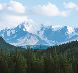 Тур Топ Мест Алтая + развлечения