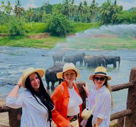 Активный Тур: Вся Шри-Ланка За 6 Дней