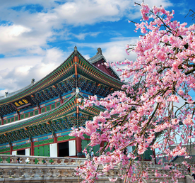 Весенние каникулы в Южной Корее. Сеул+Пусан+Чеджу