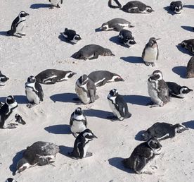 Юар: путешествие на яхте