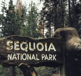 Из Сан-Франциско до Вегаса через Йосемити, Парк Секвойя и Долину Смерти!