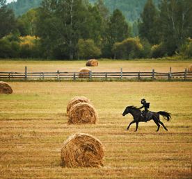 Конный фототур для уверенных всадников