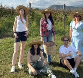 Перезагрузия: горы+море+вино