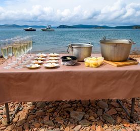 Гастротур на острове Шкота и морские котики