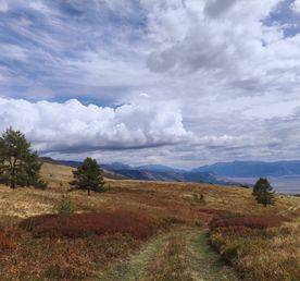 Алтайская Высотка Авто тур