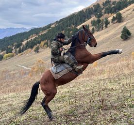 Конный тур Золотая осень в Архызе