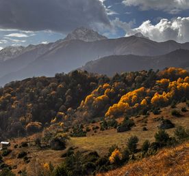 Незабываемая осень в горах. 5 дней в Осетии.