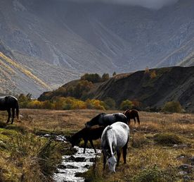 3 осенних дня в прекрасной Осетии. Золотая пора.