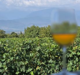 Сказка О Грузии!