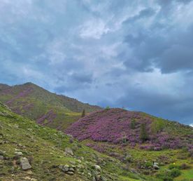 Четыре мира: от гор к степям