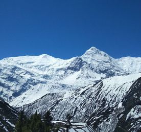 Трекинг вокруг Аннапурны +нац.парк Читван