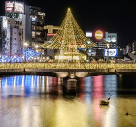 Новогодние каникулы в Японии:  5 городов, гора Фудзи