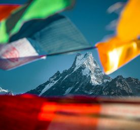 Гималаи. Трек для новичков + практики йоги. 11 дней