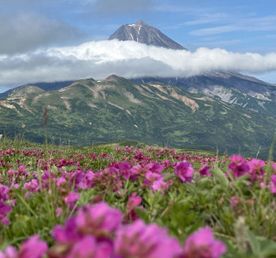 Актив-тур Вулканы, медведи, океан, Камчатский край