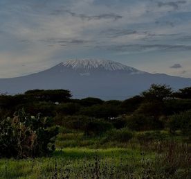 5 сафари, Масай Мара, Килиманджаро, трущобы, океан