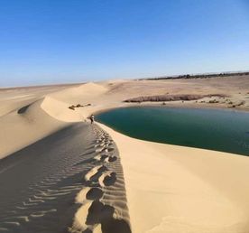 белая пустыня +оазис Эльфаюм за 2 дня