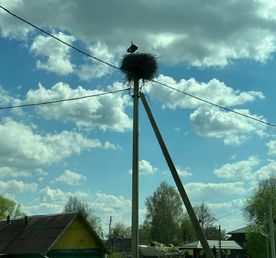 Сула + Обзорная экскурсия по Минску