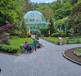 Осенний - Вессений тур Боржоми & Детокс