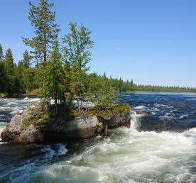 Экстремальный сплав на байдарках по реке Умба