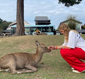 Япония. Фейерверк красок и вкусов. Весна.