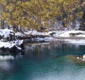Голубые озера и мир дикой природы Алтая
