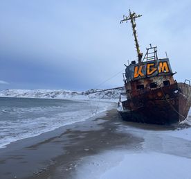 Киты зовут: открой для себя таинственные глубины!