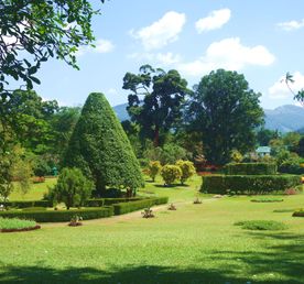 Ланкийский экспресс + отдых на побережье