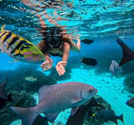 Обучение дайвингу. Туры на Мальдивы