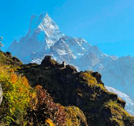 Непал. Треккинг с комфортом по самым красивым местам